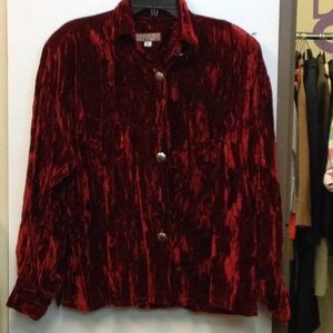 Double D Ranch velvet long sleeve top size s